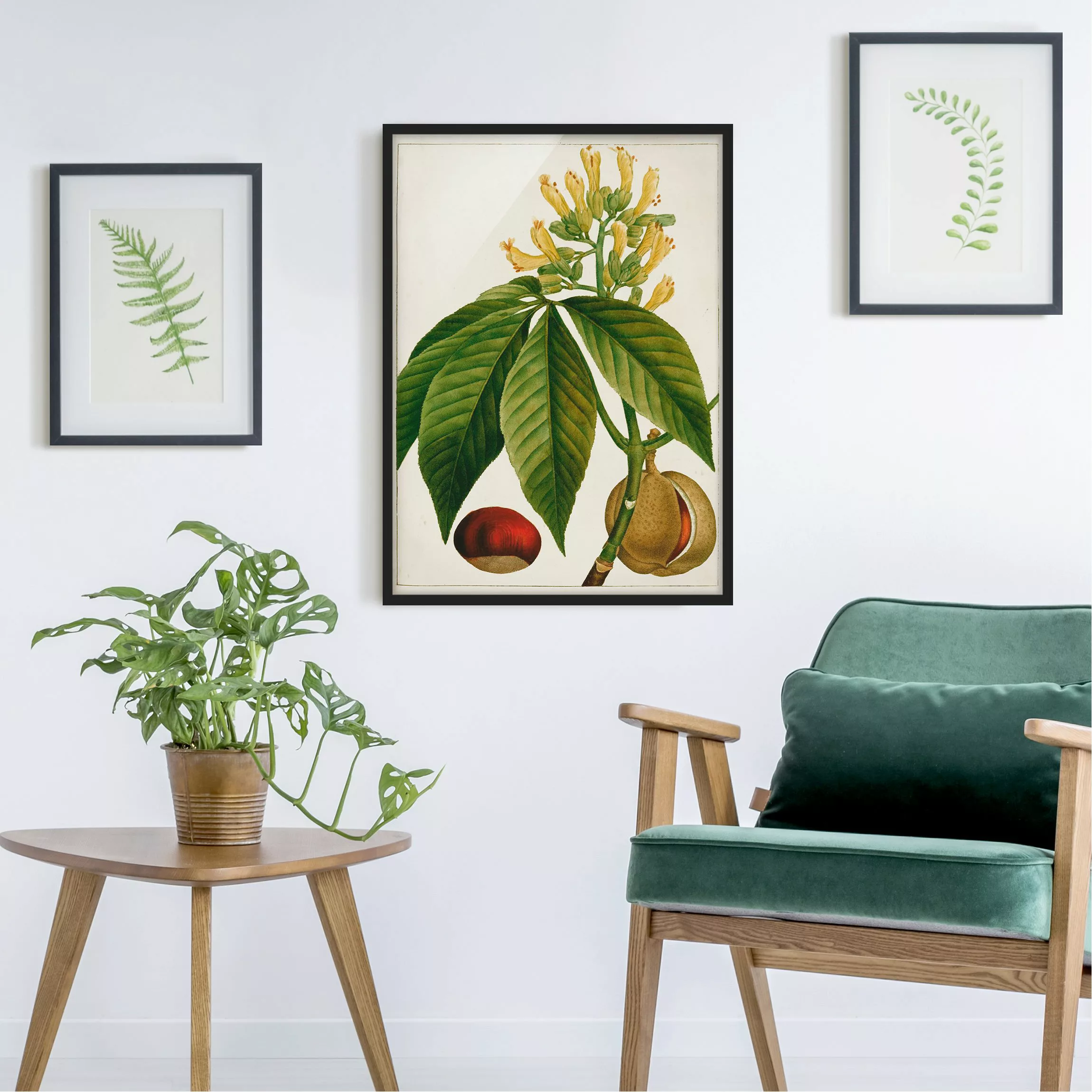 Bild mit Rahmen Blumen - Hochformat Tableau Blatt Blüte Frucht VI günstig online kaufen