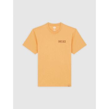 Dickies  T-Shirts & Poloshirts COMPANION TEE - DK0A4Z98K411-OAK BUFF günstig online kaufen