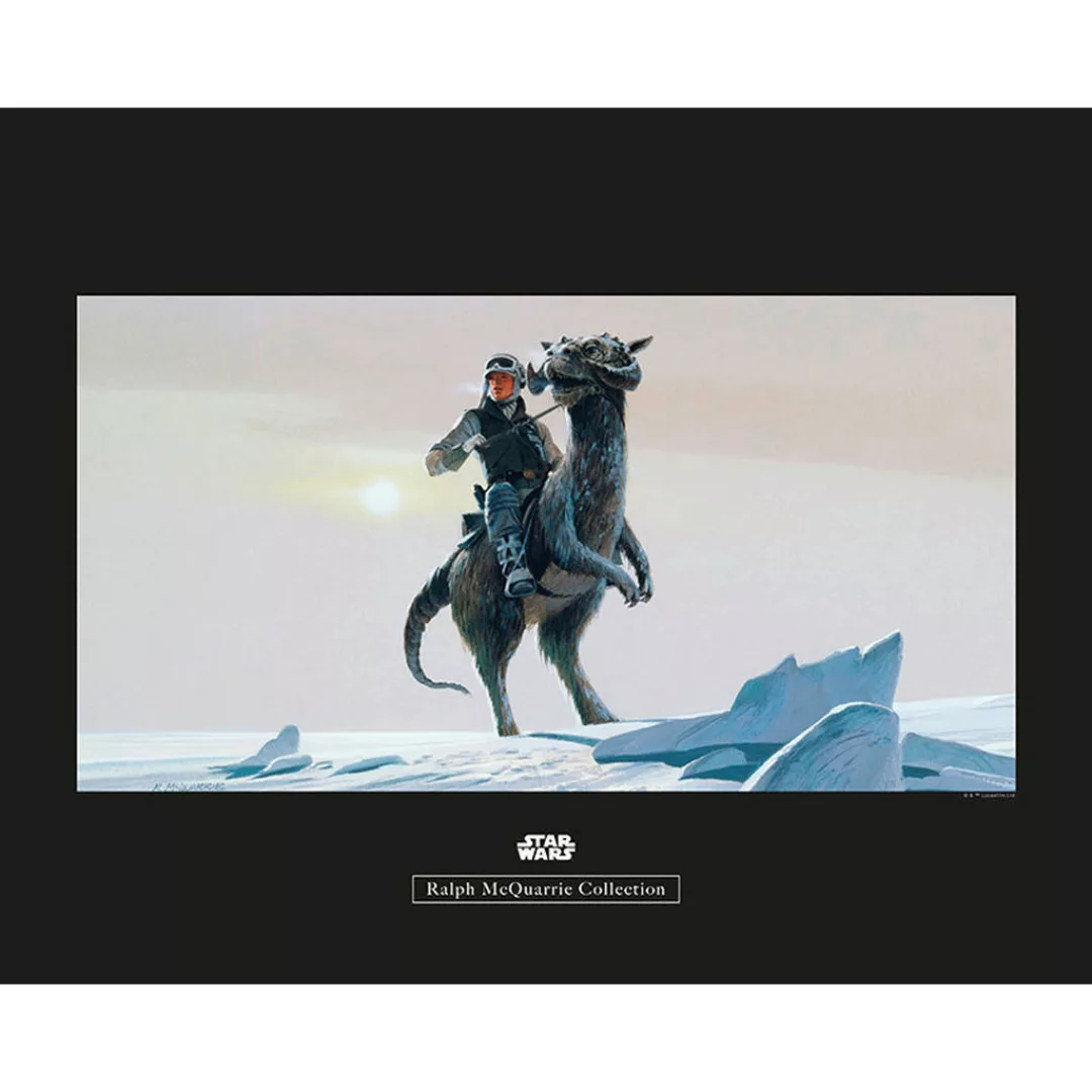 Komar Wandbild Star Wars Classic RMQ Hoth Tauntaun Star Wars B/L: ca. 50x40 günstig online kaufen