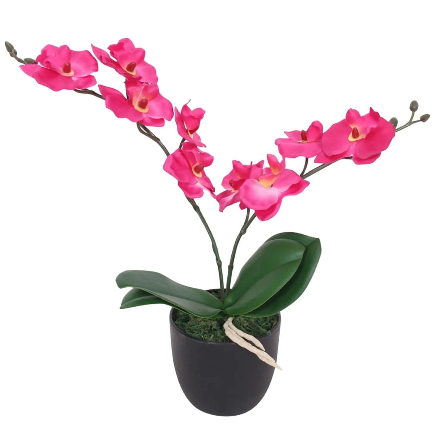 furnicato Künstliche Orchidee mit Topf 30 cm Rot günstig online kaufen