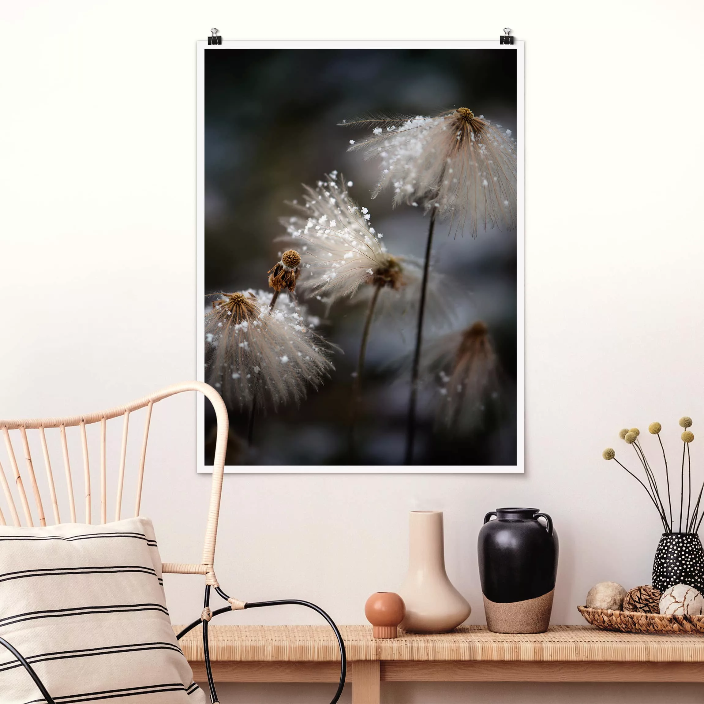 Poster Blumen - Hochformat Pusteblumen mit Schneeflocken günstig online kaufen