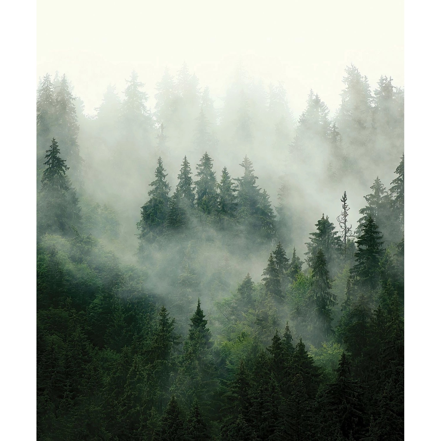 Sanders & Sanders Fototapete Berglandschaft Mit Bäumen Grün 2,25 x 2,7 m 60 günstig online kaufen
