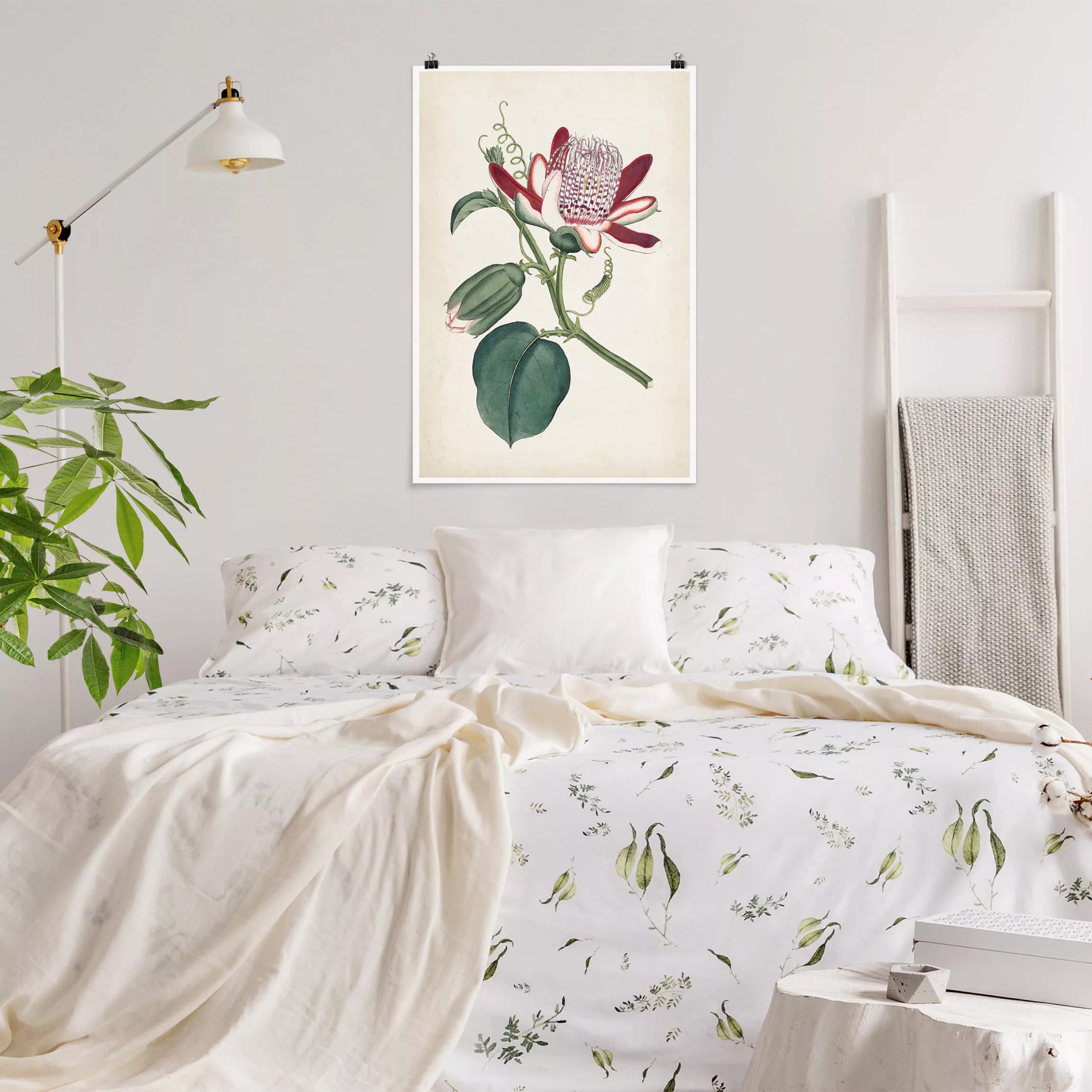 Poster Blumen - Hochformat Gartenschönheit IV günstig online kaufen