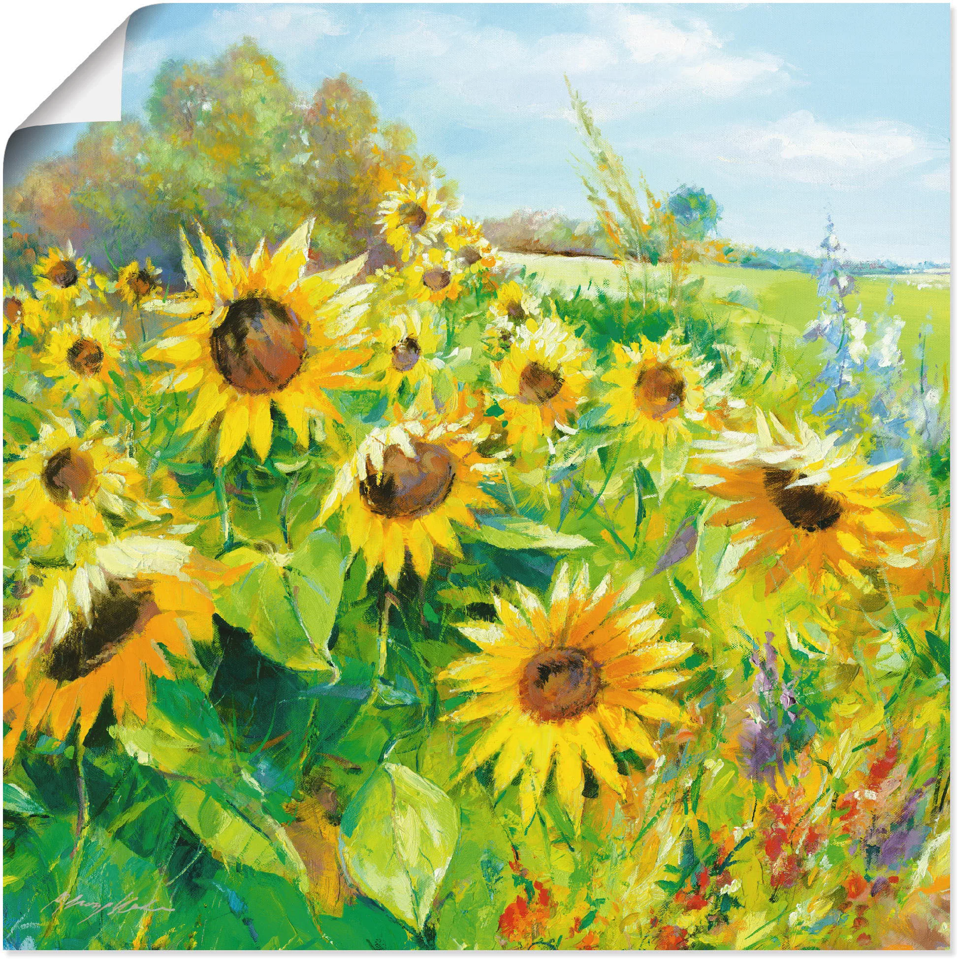 Artland Wandbild "Sommerwiese mit Sonnenblumen", Blumenwiese, (1 St.) günstig online kaufen