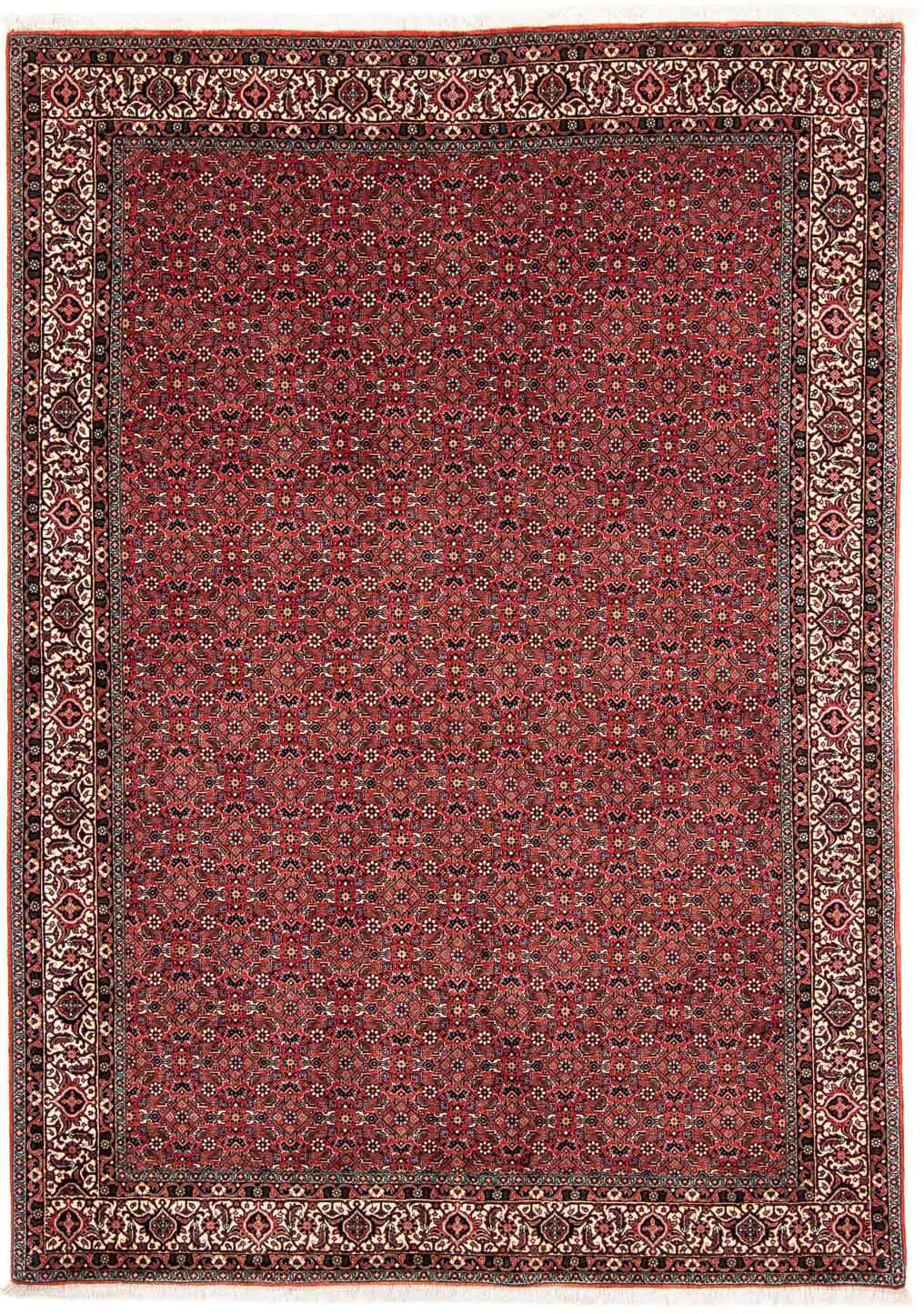 morgenland Orientteppich »Perser - Bidjar - 243 x 173 cm - dunkelrot«, rech günstig online kaufen