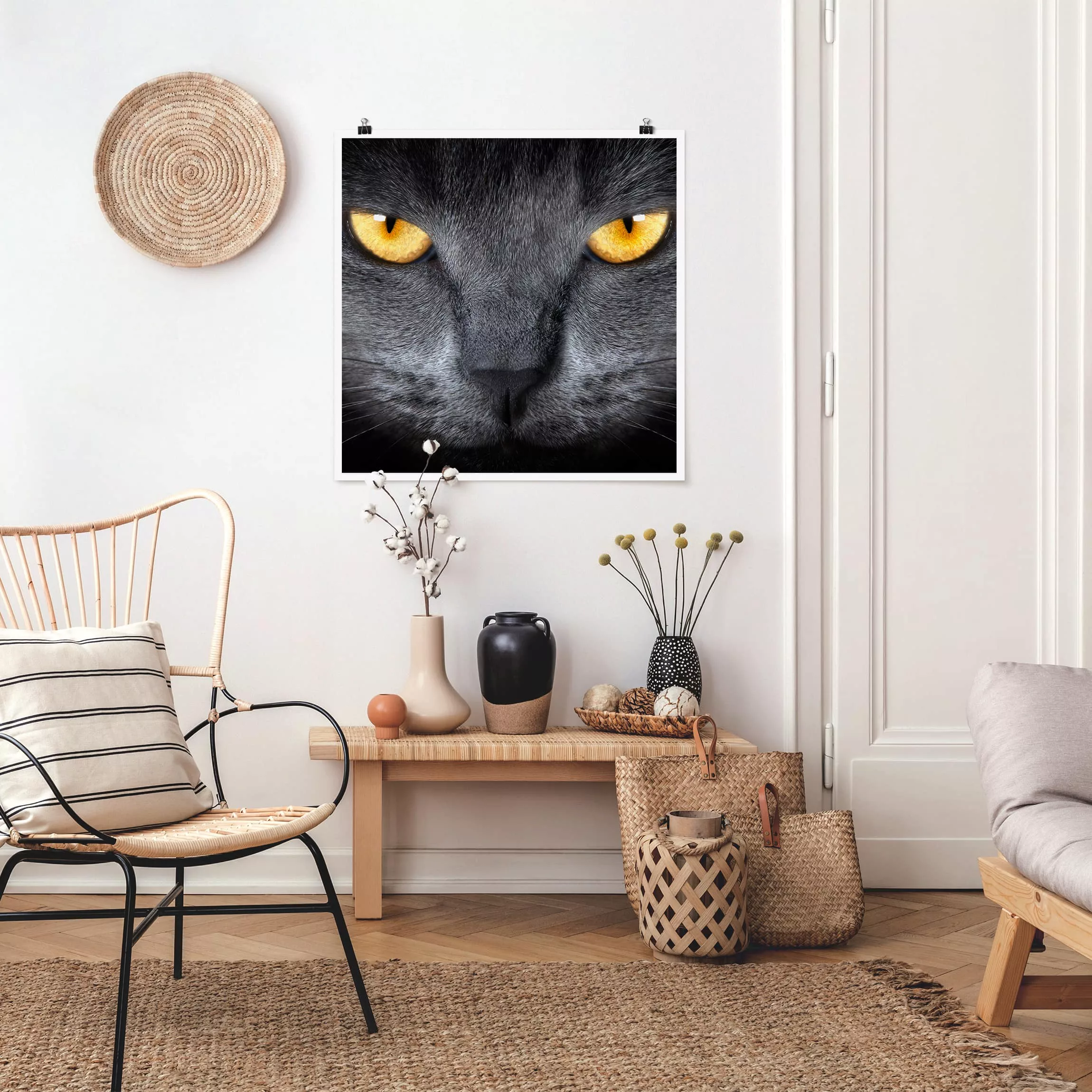 Poster Tiere - Quadrat Cats Gaze günstig online kaufen