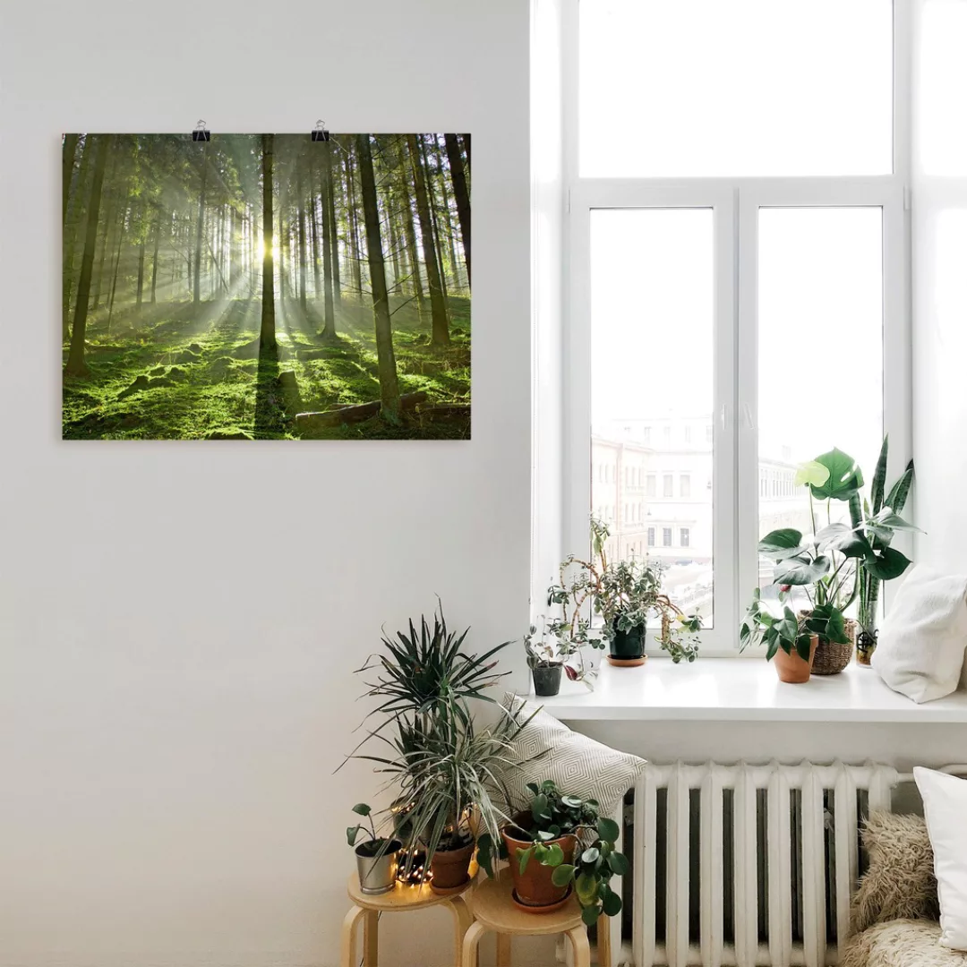 Artland Wandbild "Wald im Gegenlicht", Wald, (1 St.) günstig online kaufen