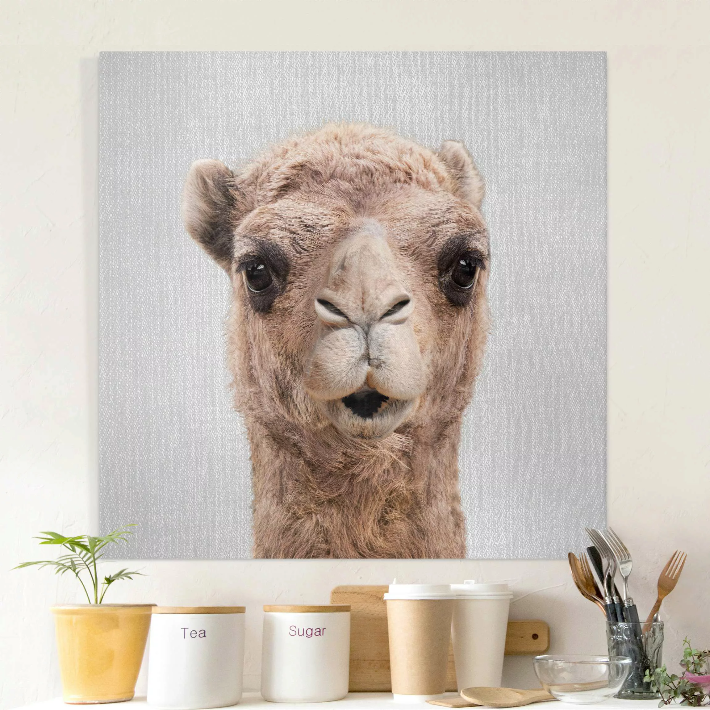 Leinwandbild Kamel Konrad günstig online kaufen