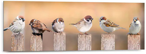 Reinders Holzbild "Deco Panel 30x90 Bird Family" günstig online kaufen