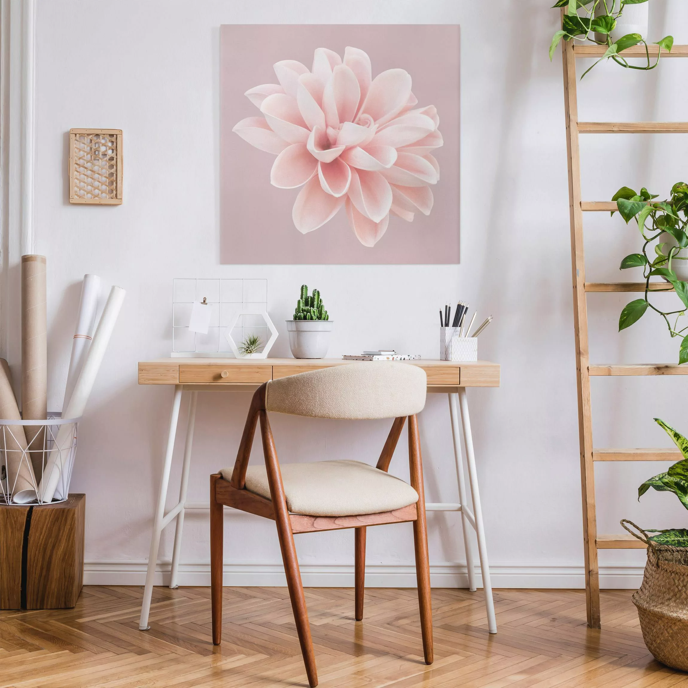 Leinwandbild Dahlie Blume Lavendel Rosa Weiß günstig online kaufen