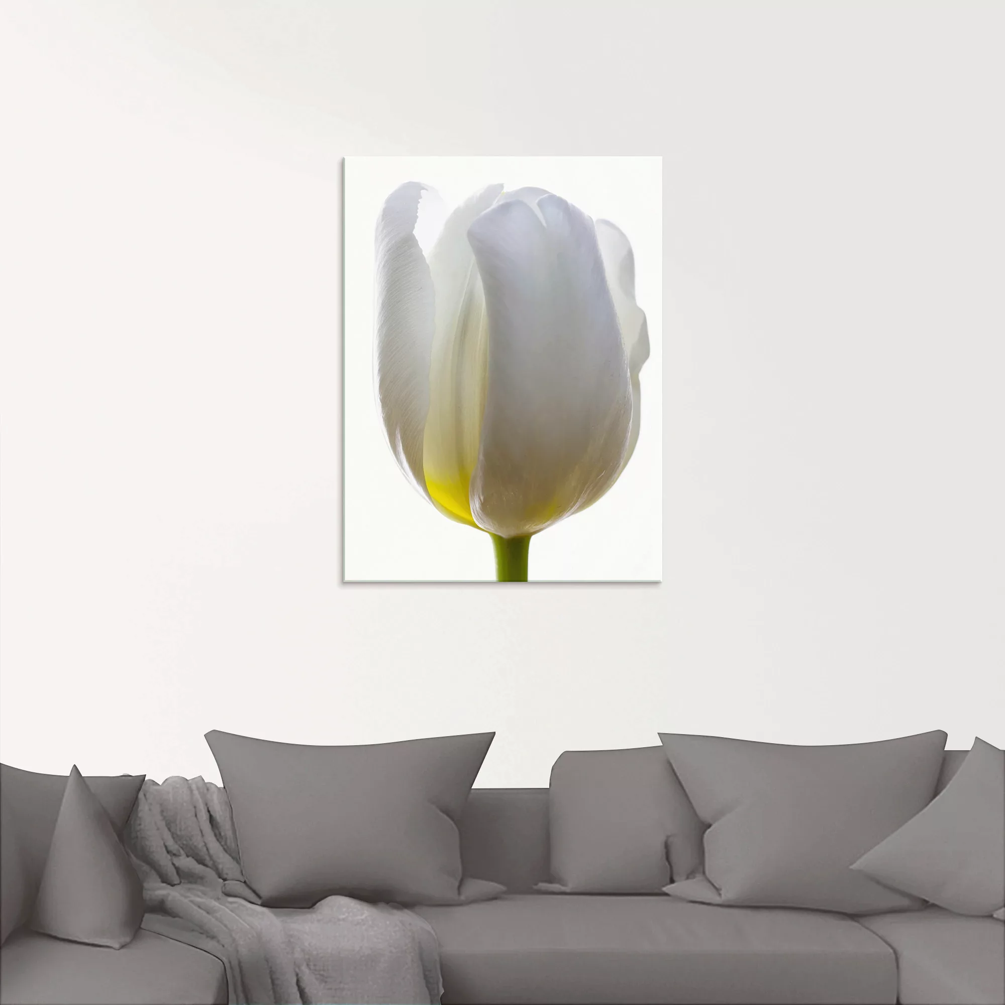 Artland Glasbild »Weiße Tulpe«, Blumen, (1 St.), in verschiedenen Größen günstig online kaufen