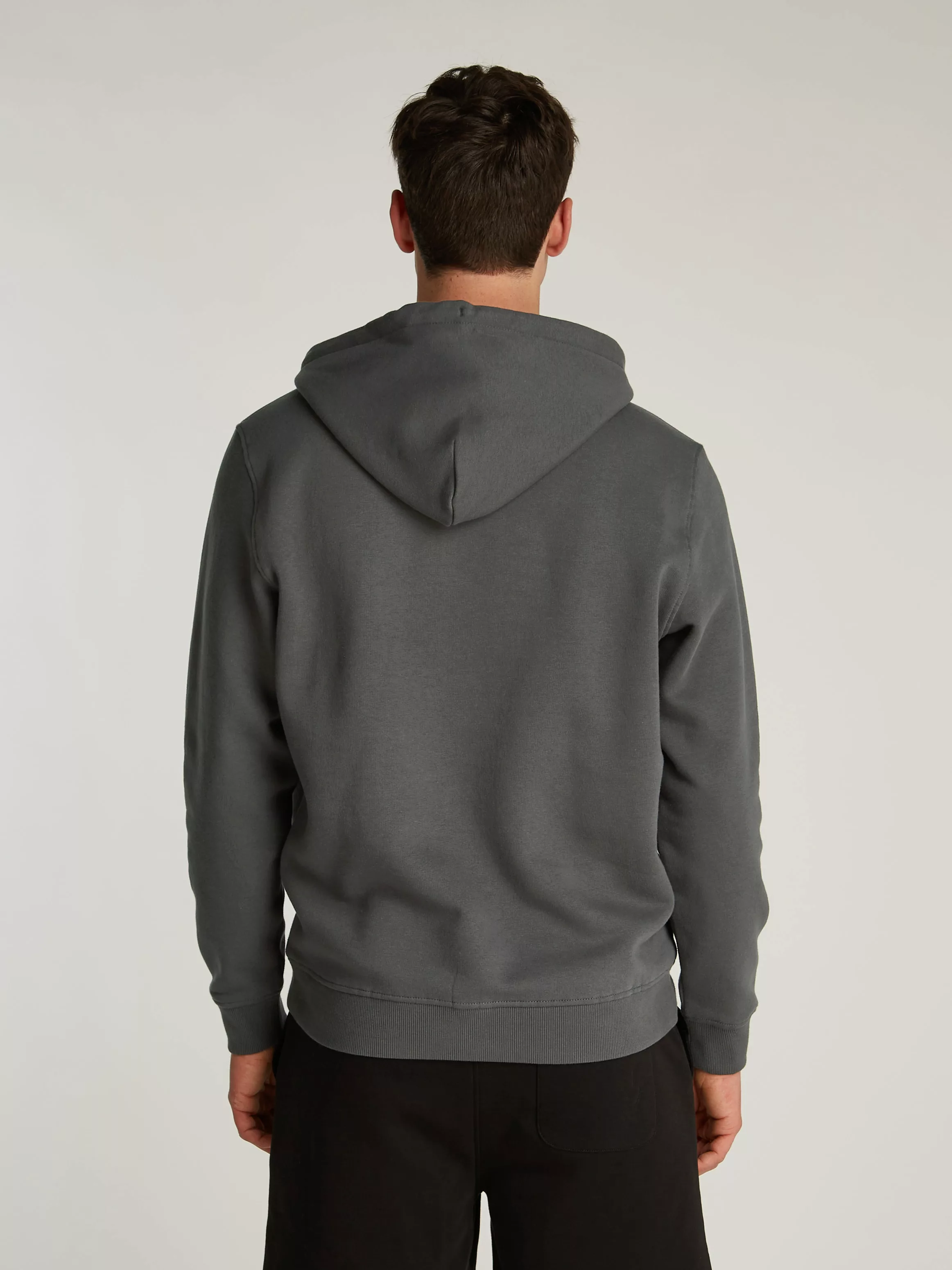 Tommy Jeans Hoodie "TJM REG LINEAR LOGO HOODIE EXT", mit Logo-Stickerei günstig online kaufen