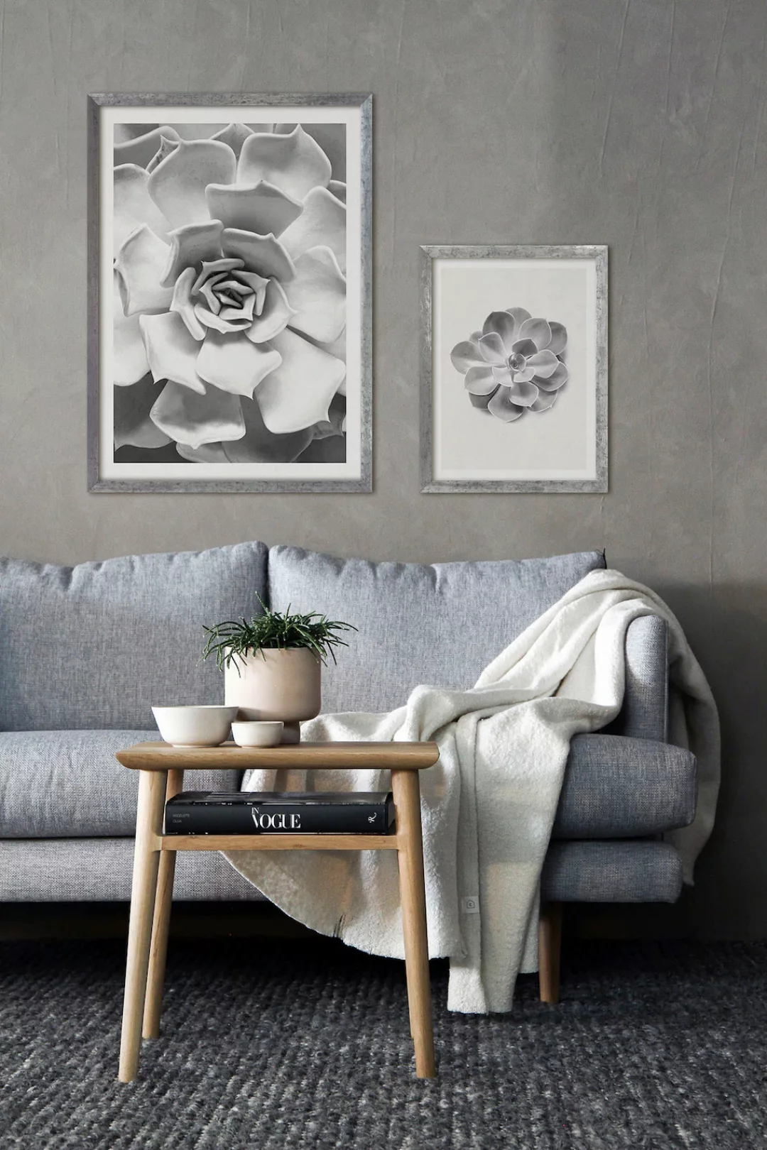 Komar Bild mit Rahmen »Succulent Aeonium«, maschinell günstig online kaufen