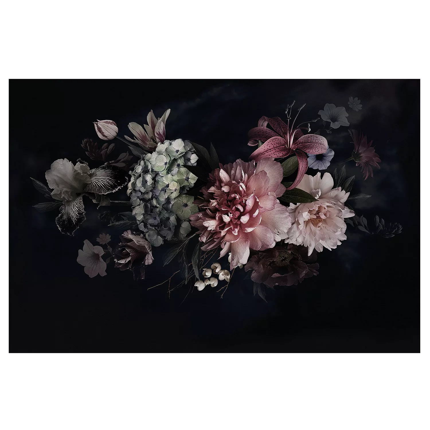 Bilderwelten Fototapete Blumen mit Nebel auf Schwarz schwarz Gr. 432 x 290 günstig online kaufen