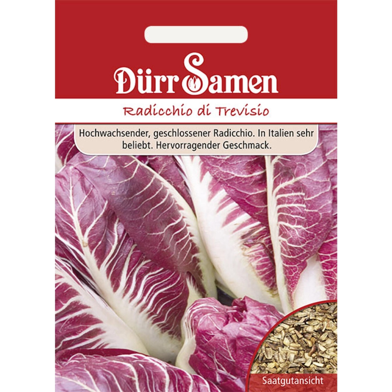 Dürr Samen Radicchio Di Treviso Saatgut günstig online kaufen