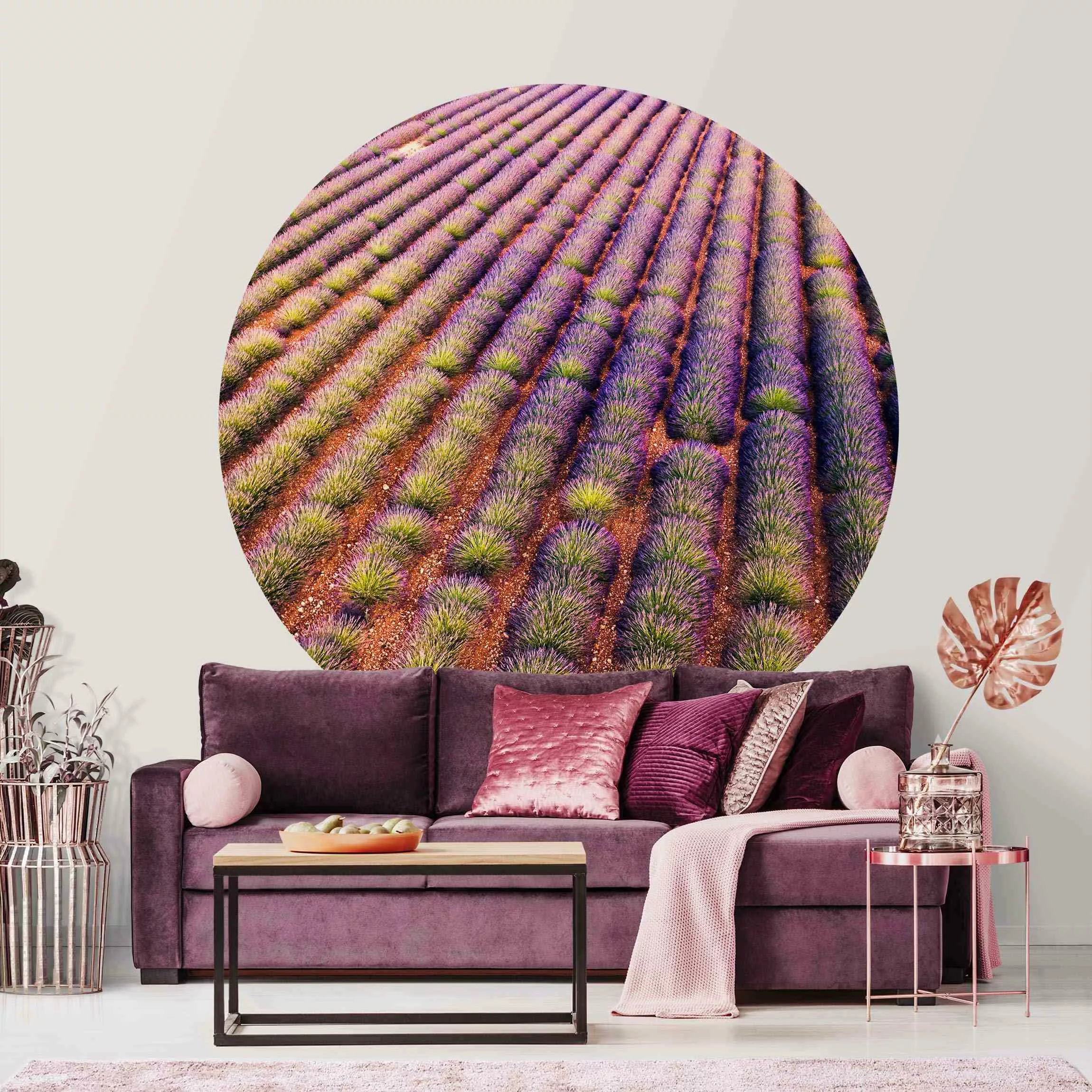 Runde Tapete selbstklebend Malerisches Lavendelfeld günstig online kaufen