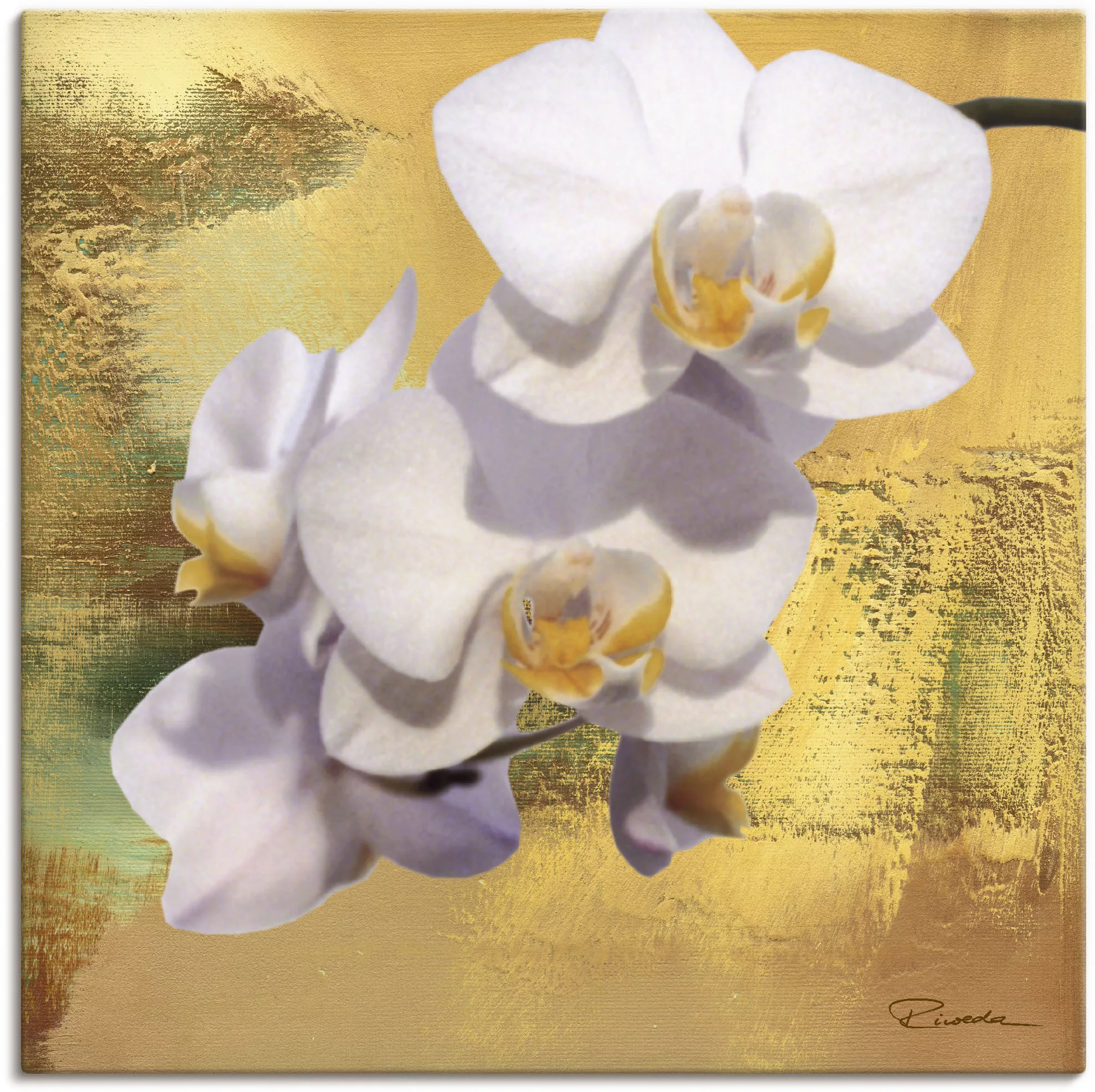 Artland Leinwandbild "Weiße Orchidee II", Blumen, (1 St.), auf Keilrahmen g günstig online kaufen