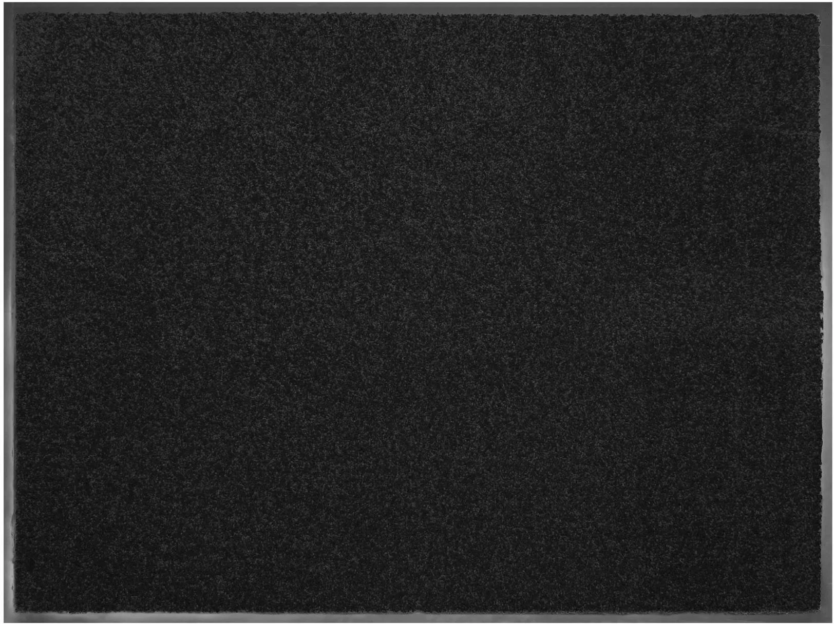 Primaflor Schmutzfangmatte Clean Schwarz 60x180cm günstig online kaufen