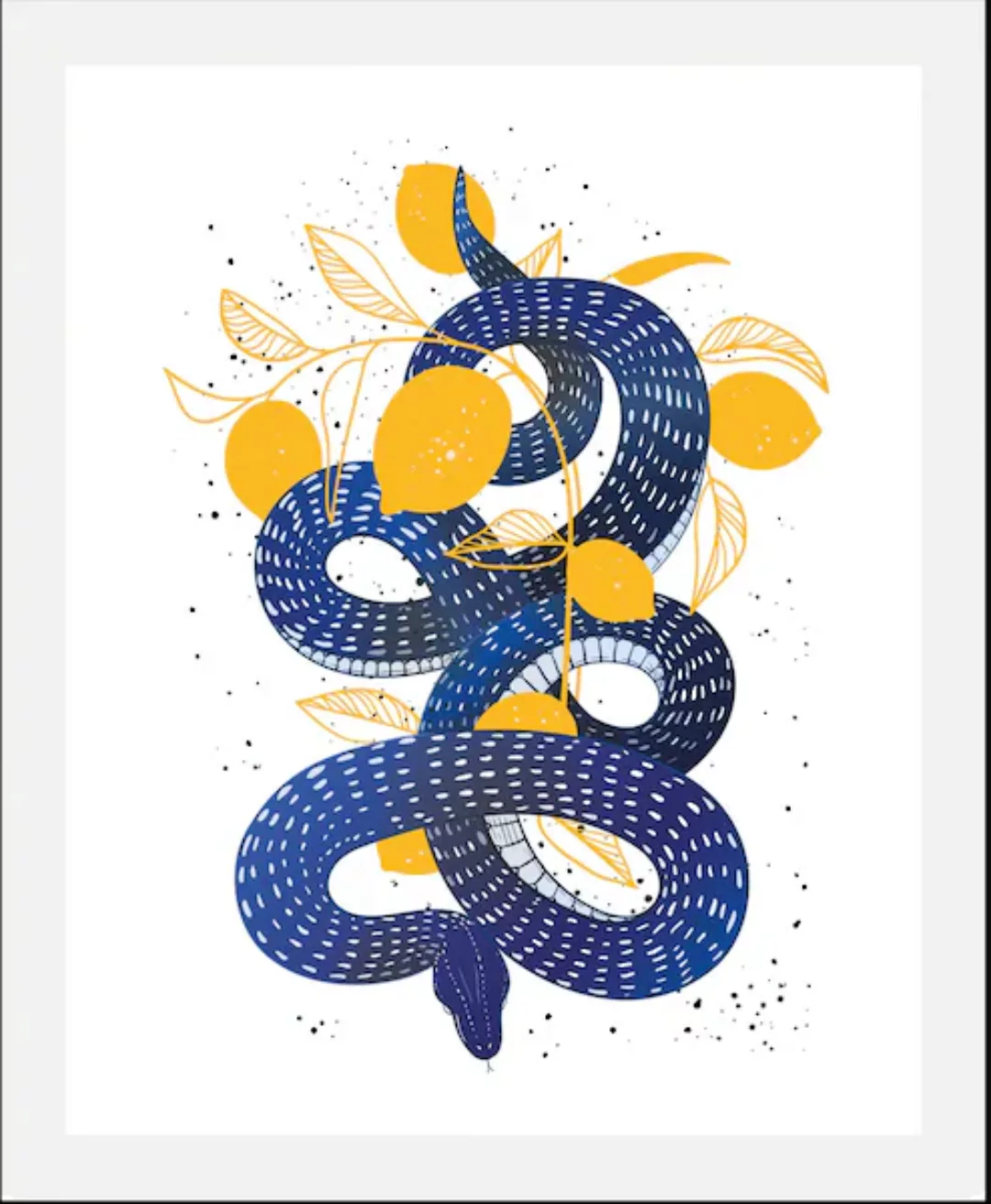 queence Bild »Lemon Snake«, (1 St.), gerahmt günstig online kaufen