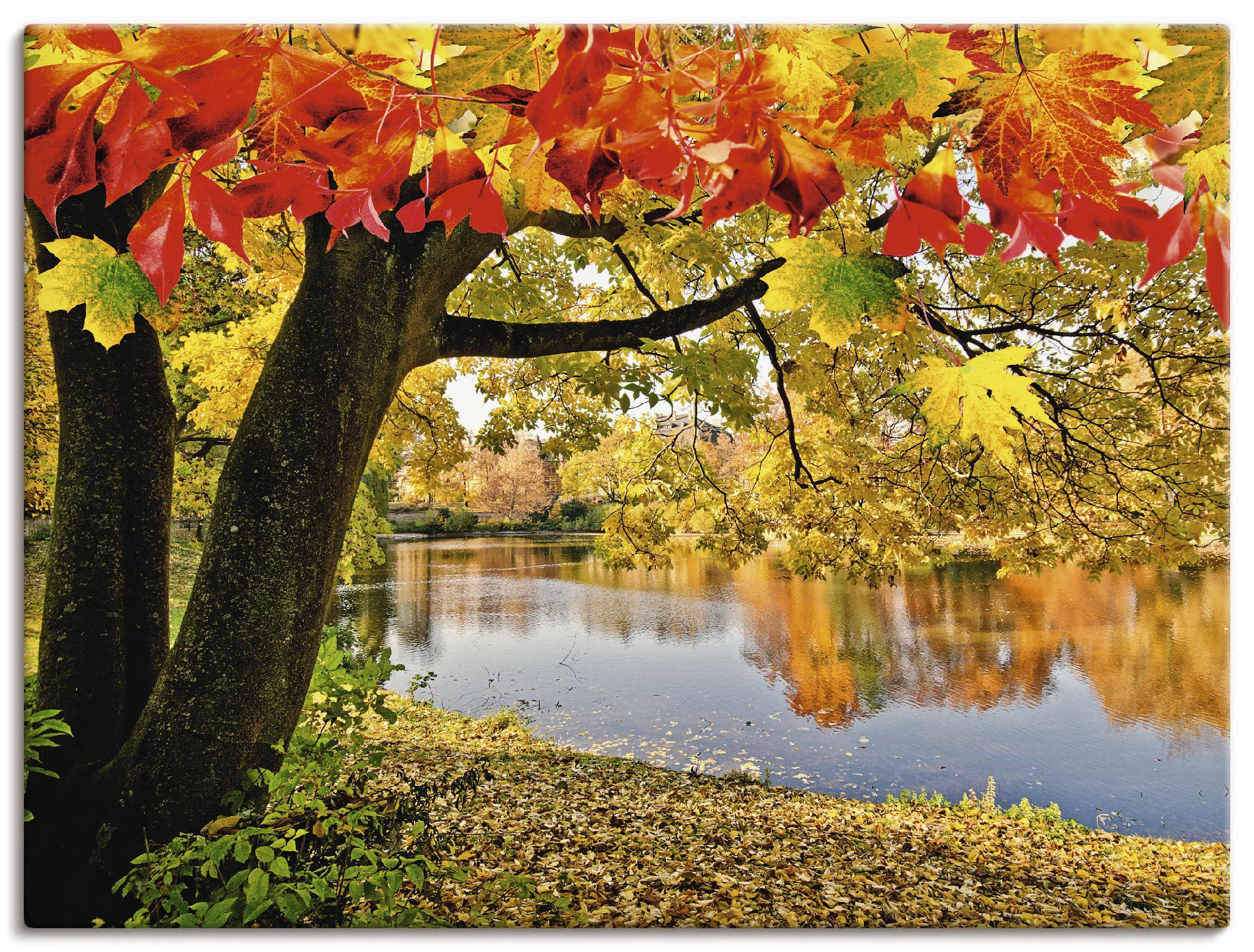 Artland Wandbild "Herbsttag an einem ruhigen See", Gewässer, (1 St.) günstig online kaufen