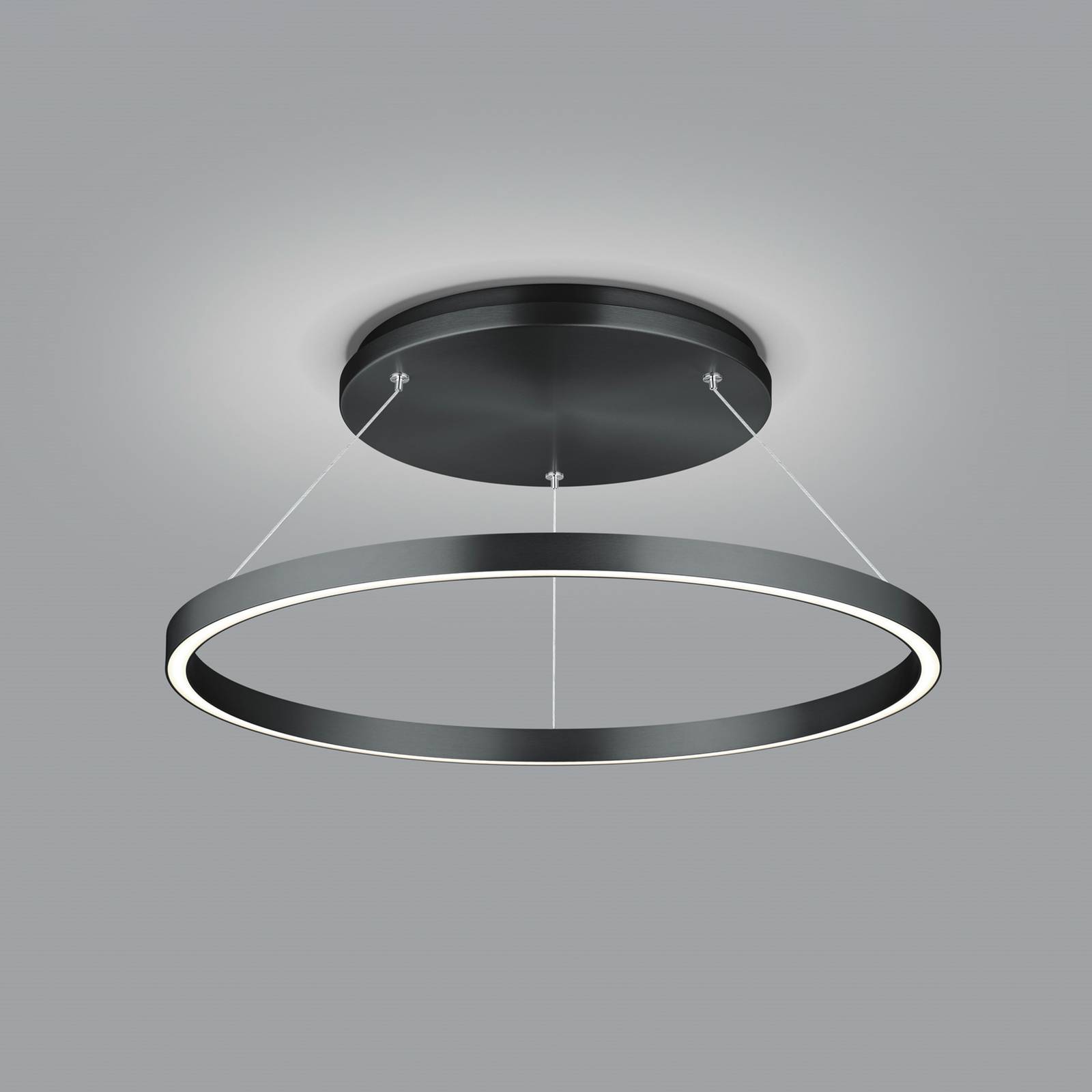 LED-Hängeleuchte Lisa-D, ringförmig, schwarz günstig online kaufen