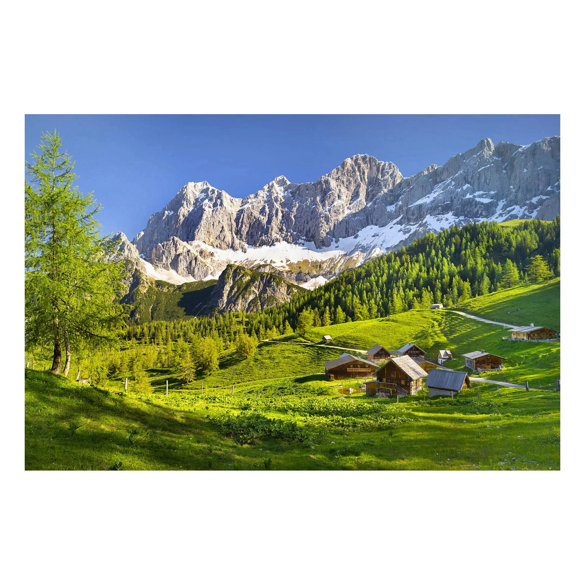 Magnettafel Natur & Landschaft - Querformat 4:3 Steiermark Almwiese günstig online kaufen