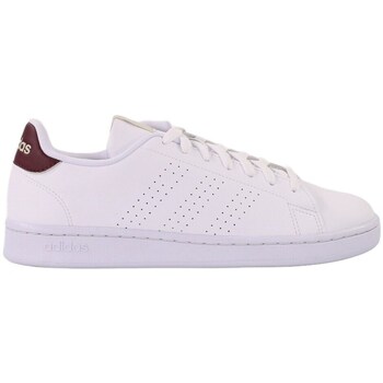 adidas  Sneaker Advantage günstig online kaufen