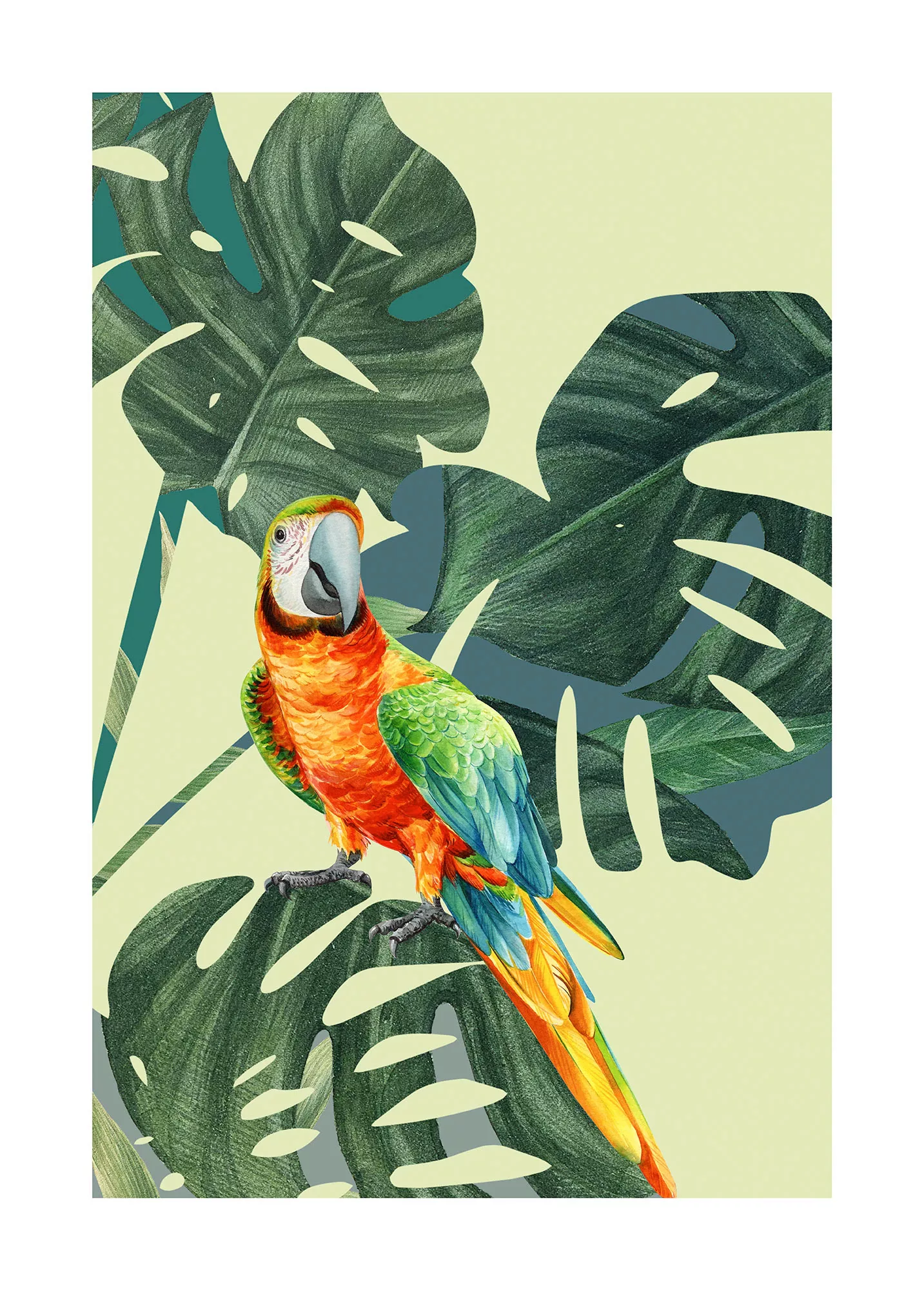 Komar Poster "Green-Winged Macaw", (1 St.) günstig online kaufen