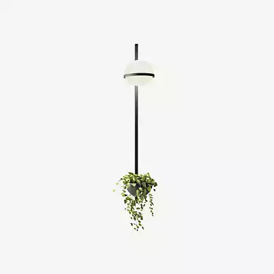 Vibia Palma Wandleuchte LED vertikal - mit Pflanzentopf, graphit - 114 cm - günstig online kaufen