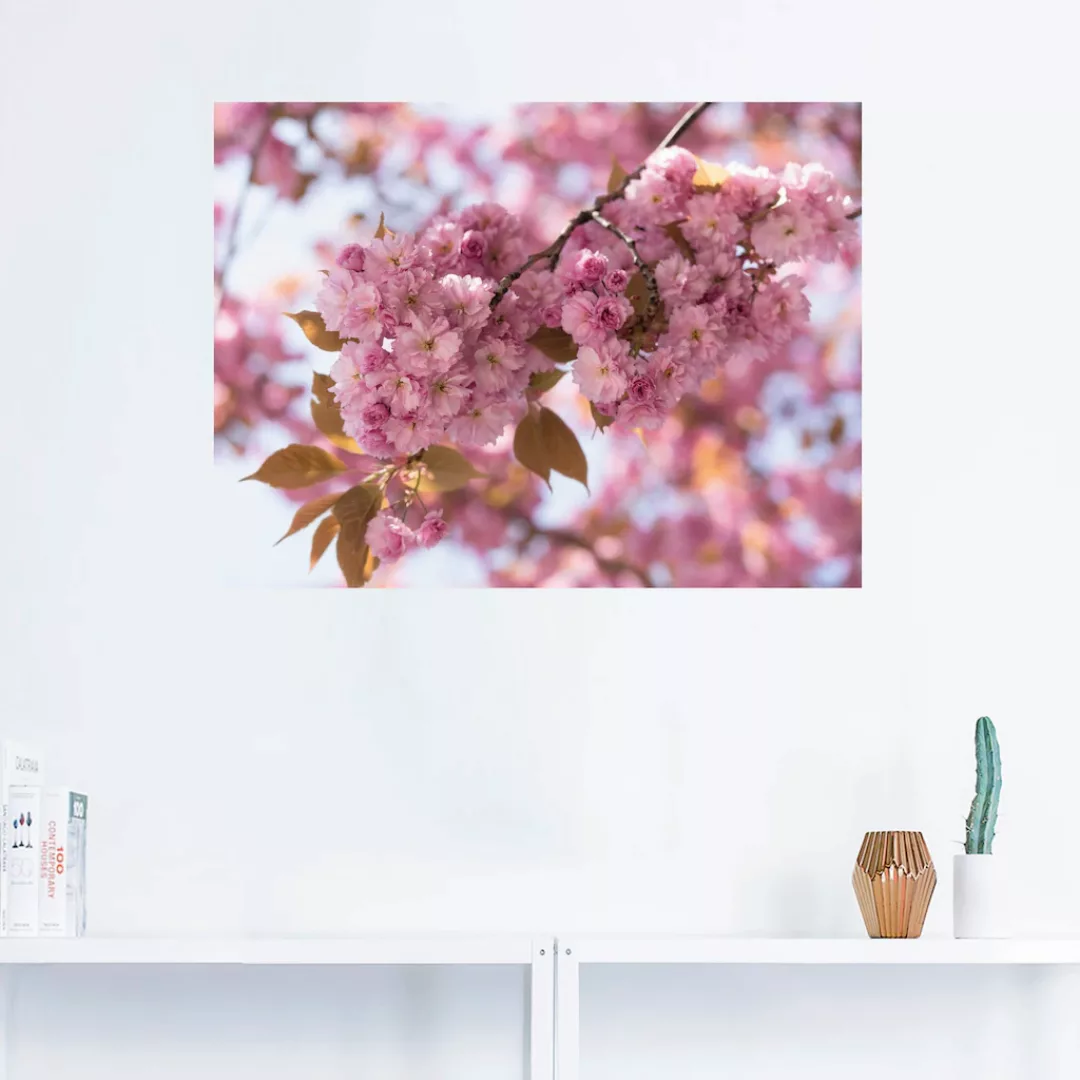 Artland Wandbild "Japanische Kirschblüte in Love I", Blumen, (1 St.), als L günstig online kaufen