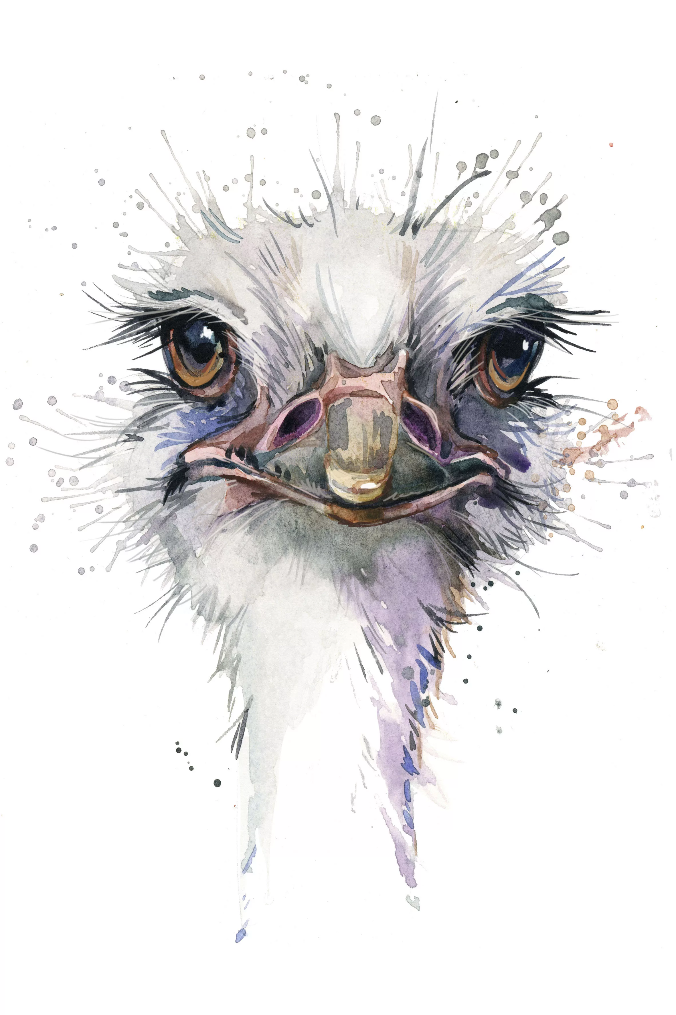 queence Leinwandbild "Vogelstrauss" günstig online kaufen