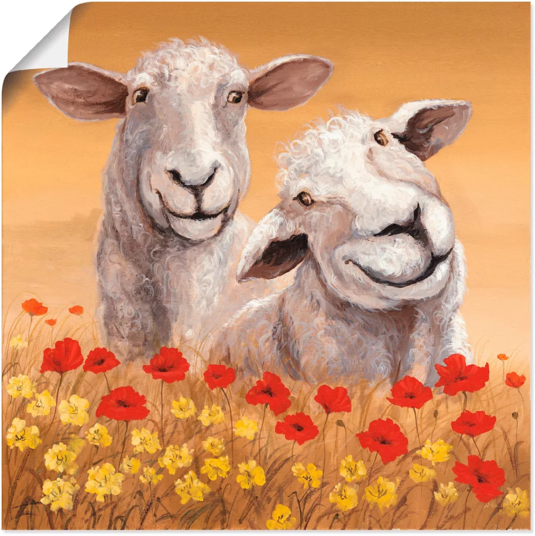 Artland Wandbild »Schafe«, Haustiere, (1 St.), als Alubild, Outdoorbild, Le günstig online kaufen