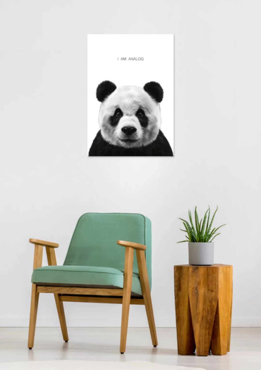 Poster Animal Panda Matt günstig online kaufen