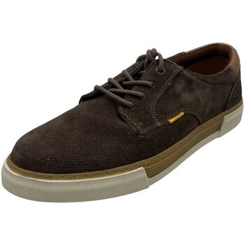 camel active Sneaker, Schnürschuh, Freizeitschuh, Business günstig online kaufen