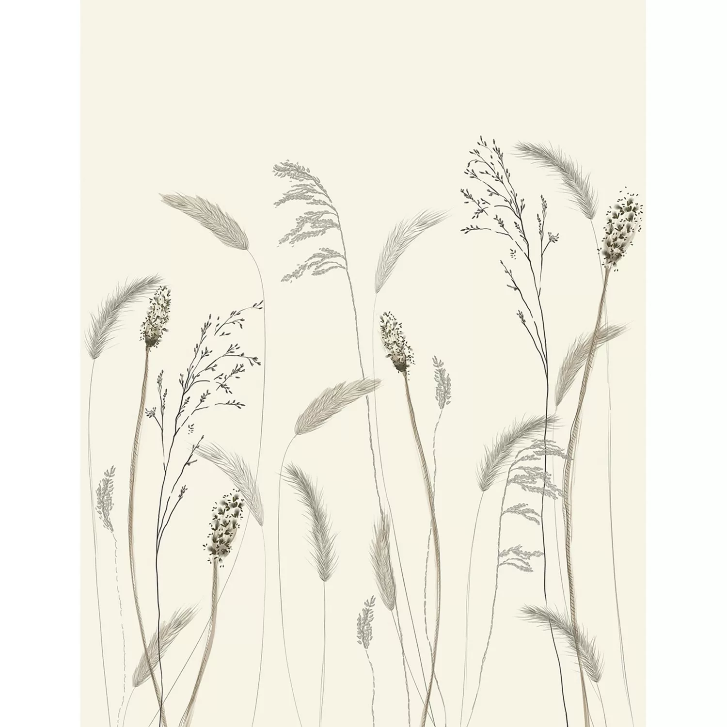 Marburg Vliestapete Gräser Crushed-Optik Modern 270 cm x 210 cm Beige günstig online kaufen