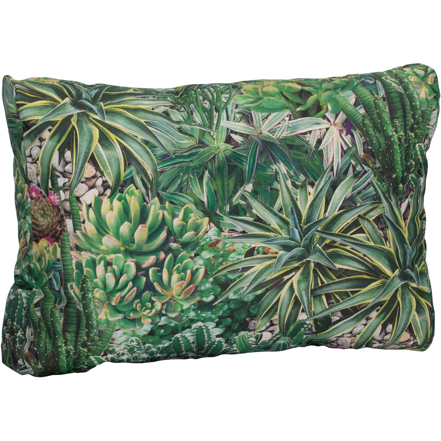 Beo Lounge-Paletten-Rückenkissen 60 cm x 40 cm x 20 cm Kaktusdesign günstig online kaufen