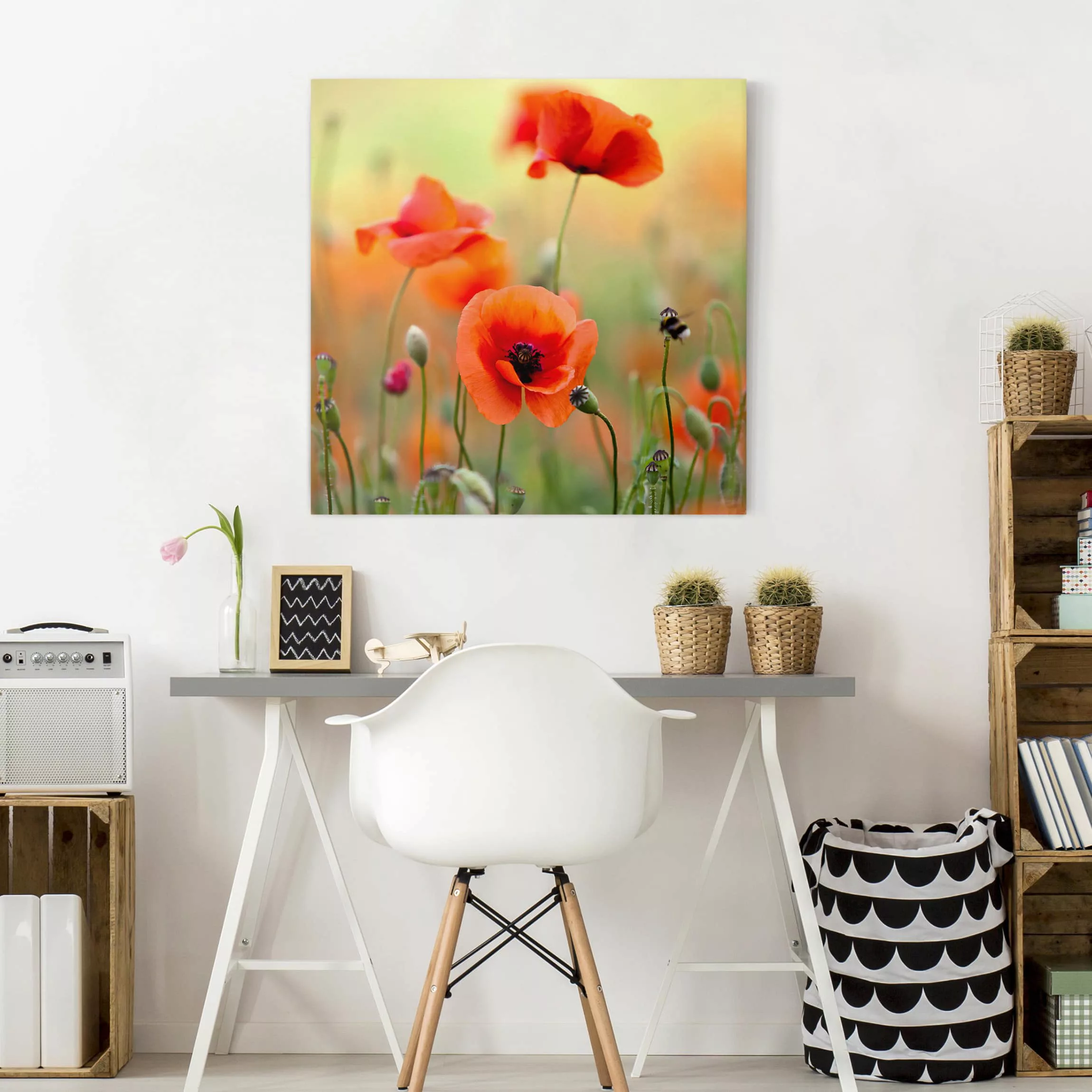 Leinwandbild Blumen - Quadrat Roter Sommermohn günstig online kaufen