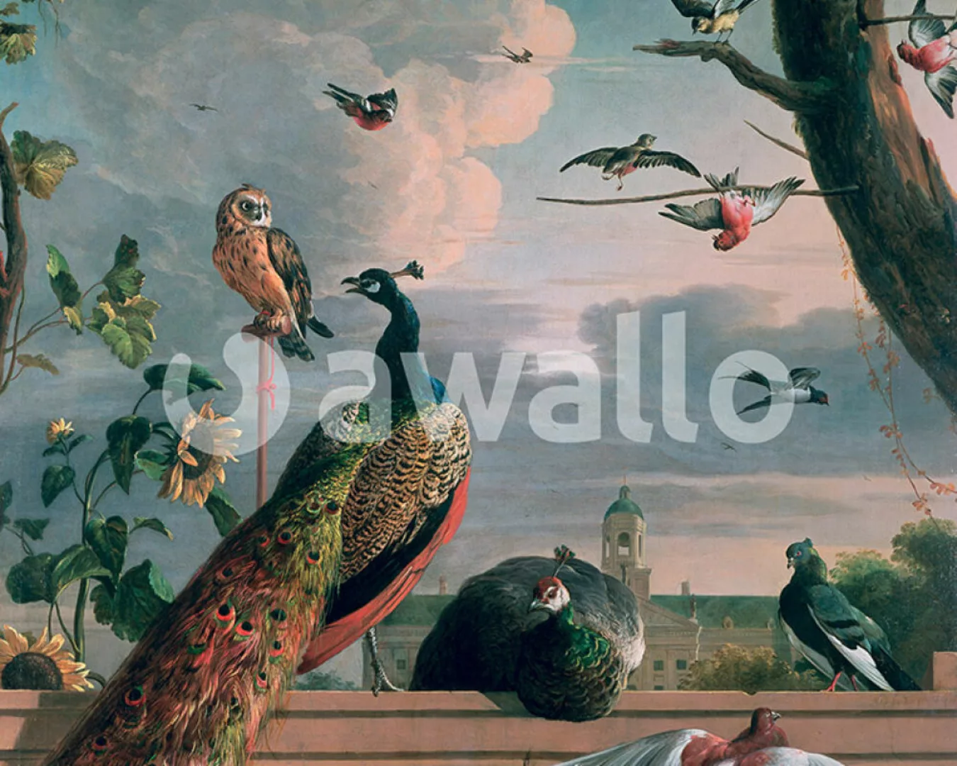 Fototapete "Palast von Amsterdam mit exotischen Vgeln" 2,19x2,50 m / Glattv günstig online kaufen