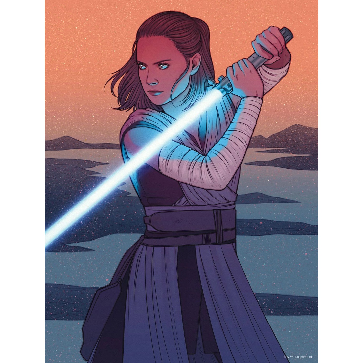 Disney Poster Star Wars Rey Orange und Grau 30 cm x 40 cm 612870 günstig online kaufen
