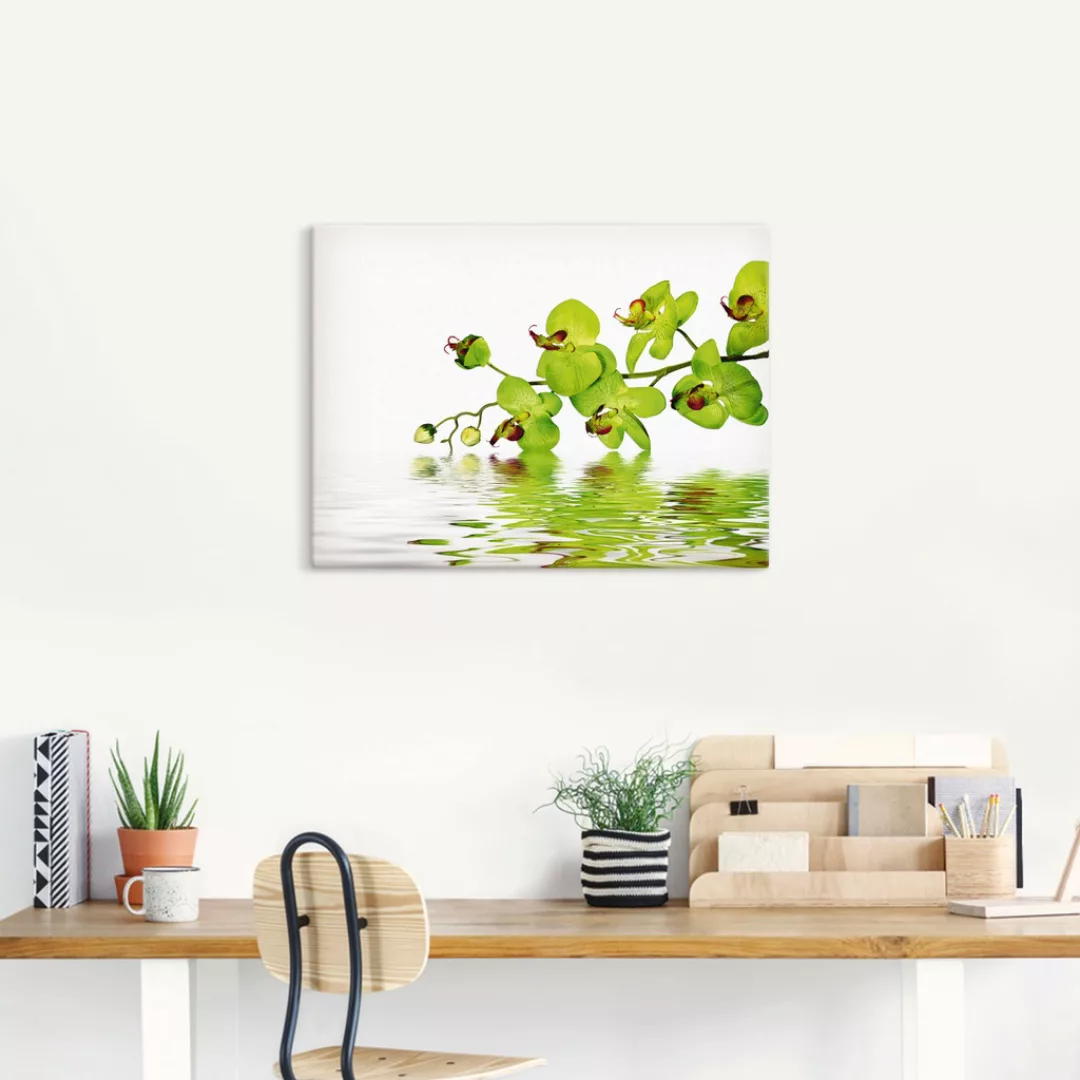 Artland Wandbild "Schöne Orchidee mit grünem Hintergrund", Blumen, (1 St.) günstig online kaufen