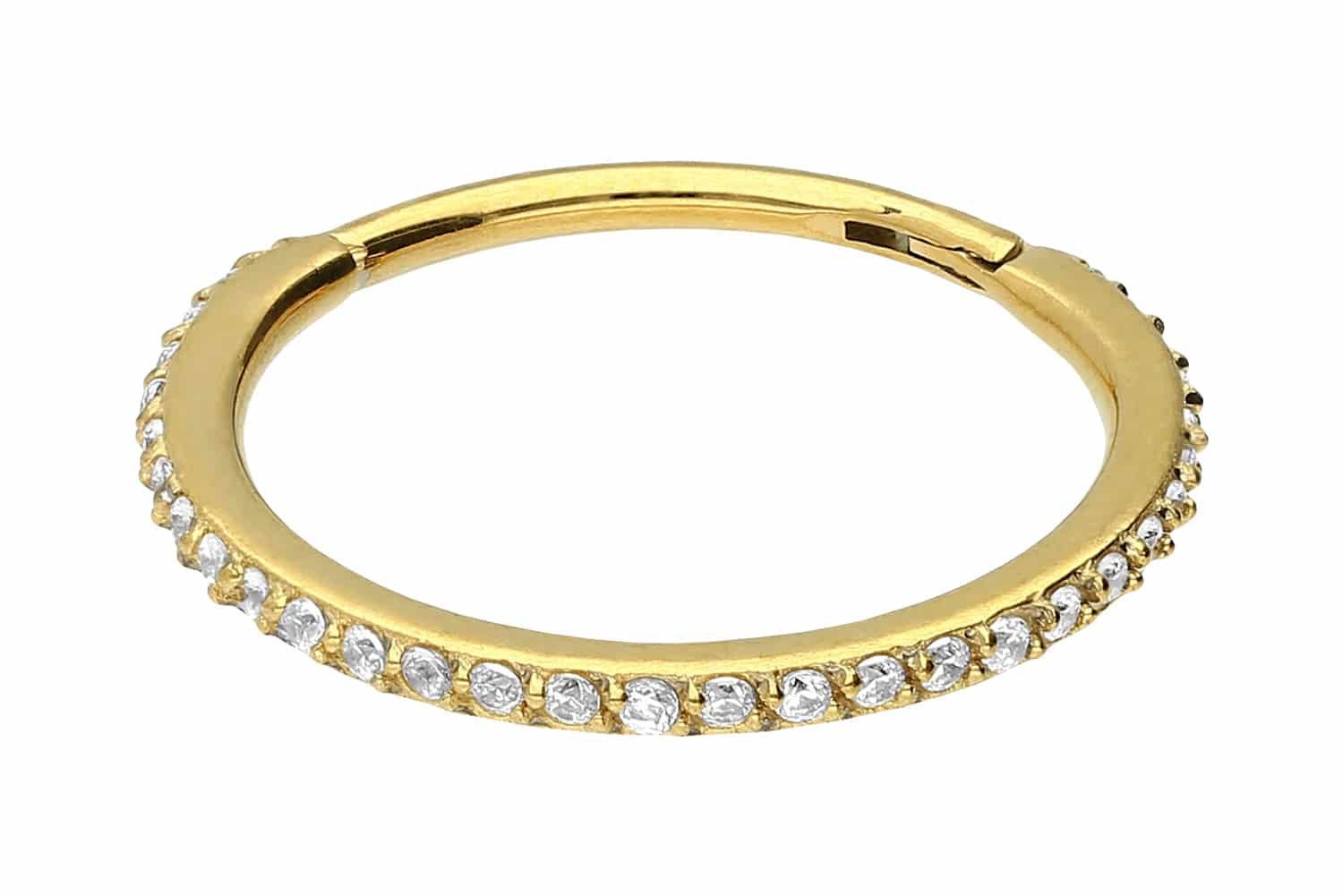 PIERCINGLINE Nasenpiercing Chirurgenstahl Segmentring Clicker EINGEFASSTE günstig online kaufen