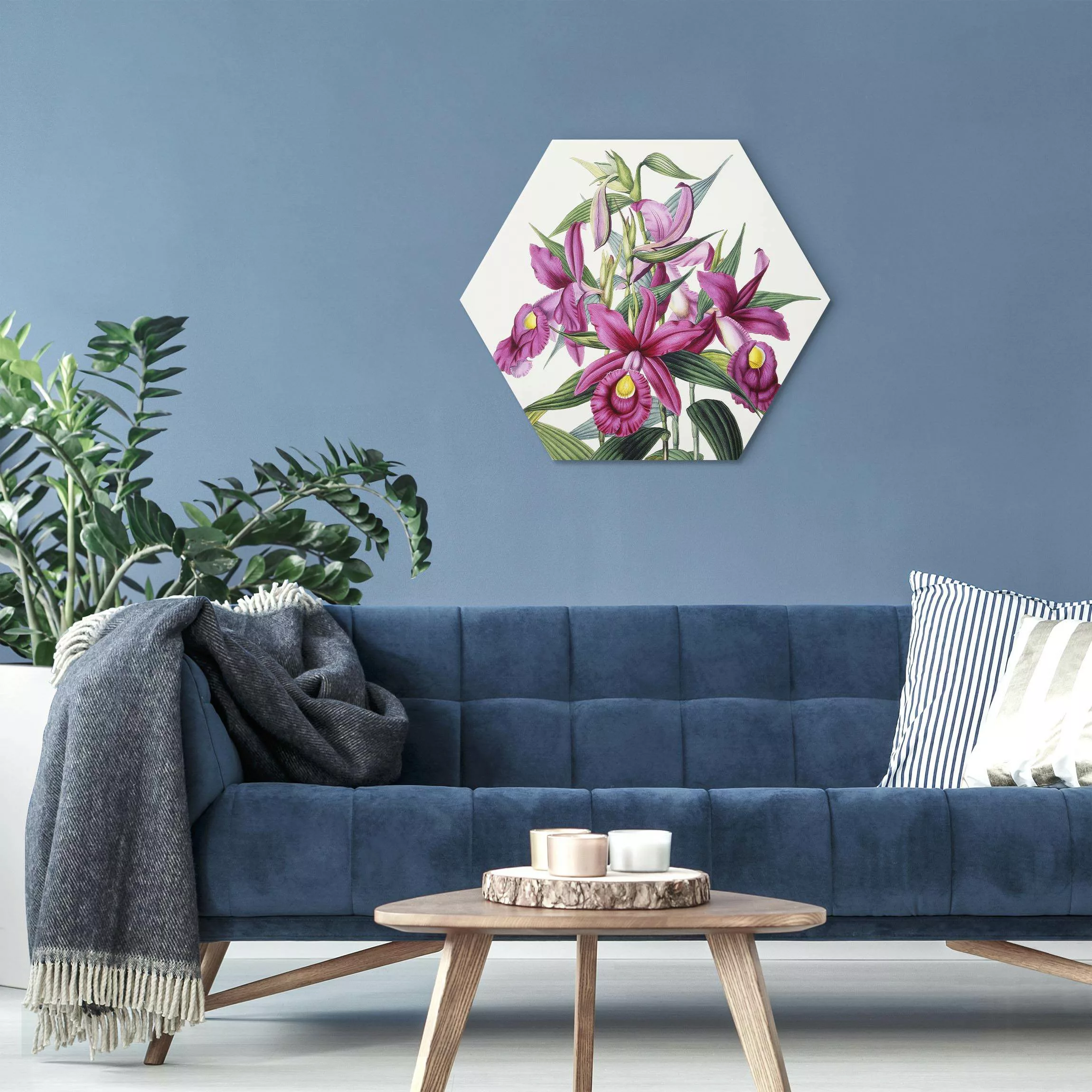 Hexagon-Alu-Dibond Bild Maxim Gauci - Orchidee I günstig online kaufen