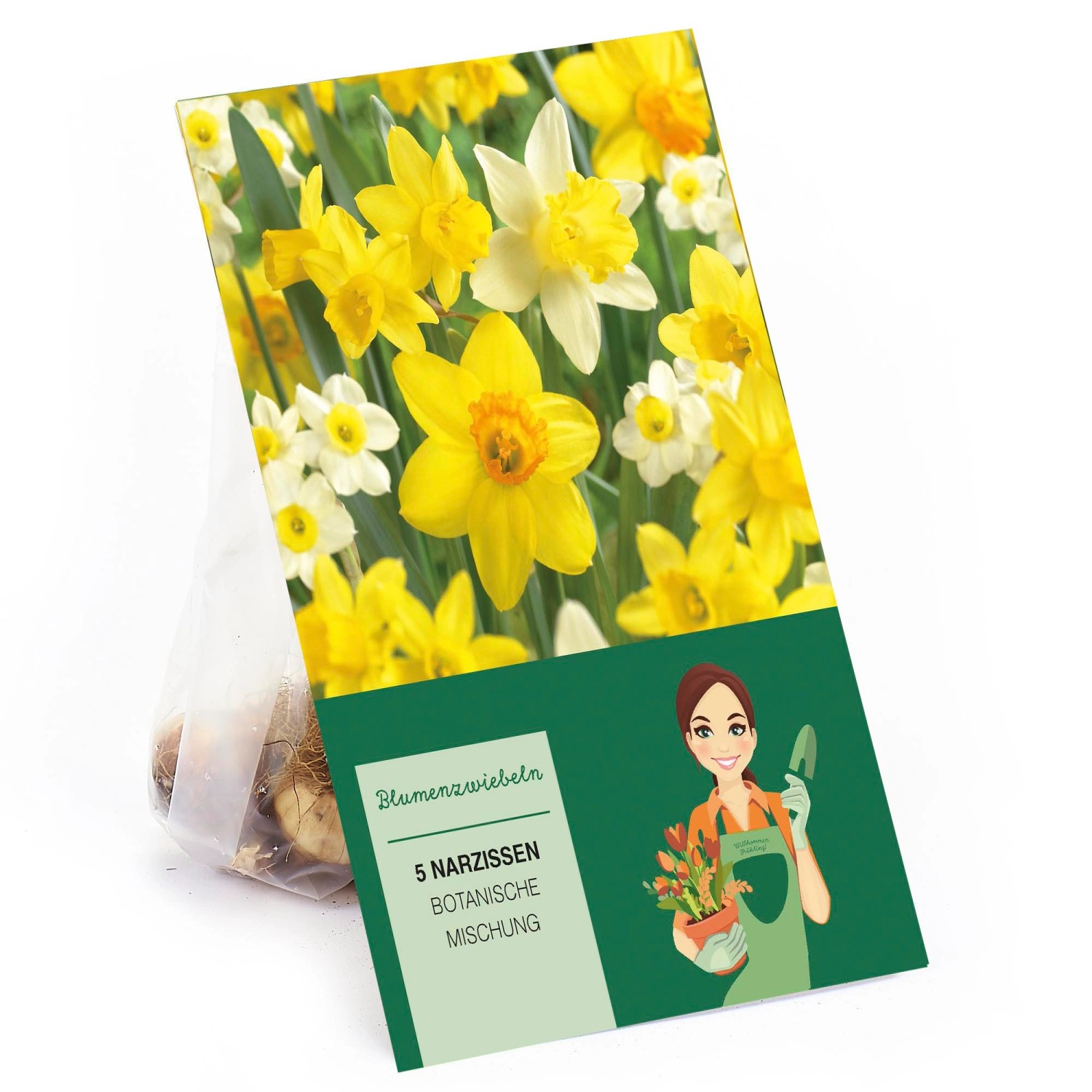 Botanische Narzisse Mischung 5 Stück Narcissus günstig online kaufen