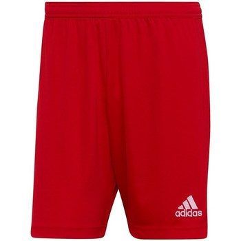 adidas  7/8 & 3/4 Hosen Entrada 22 günstig online kaufen