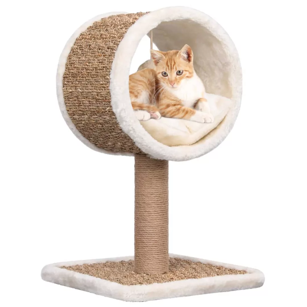 Katzen-kratzbaum Mit Tunnel Und Spielzeug 56 Cm Seegras günstig online kaufen