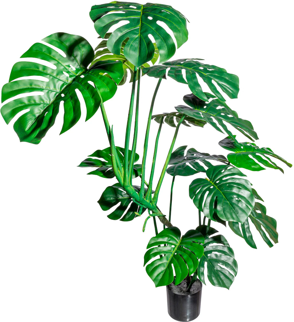 Creativ green Kunstbaum "Splitphilodendron" günstig online kaufen