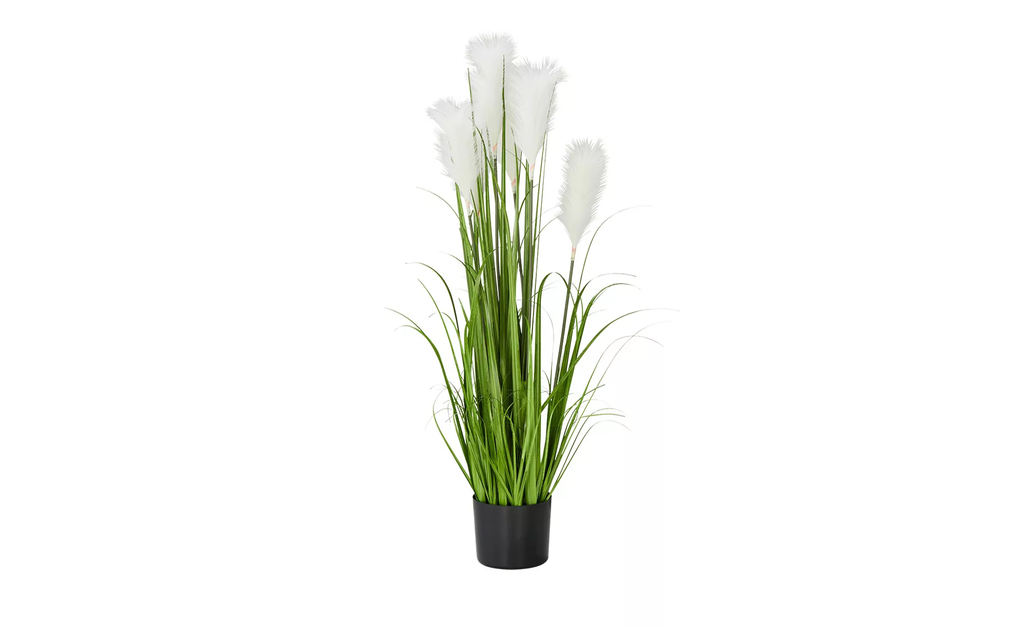 Pampasgras - grün - Zement, Kunststoff - 100 cm - Dekoration > Kunstblumen günstig online kaufen