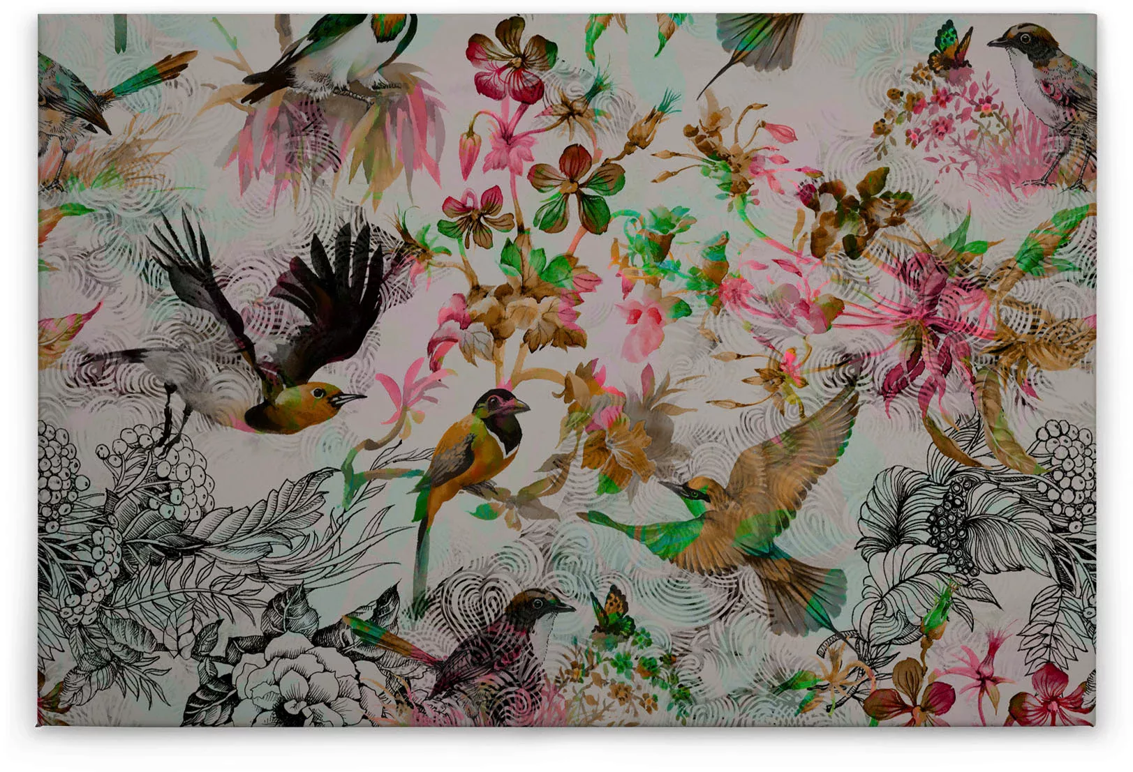 A.S. Création Leinwandbild "funky birds", Vögel, (1 St.), Keilrahmen Bild m günstig online kaufen