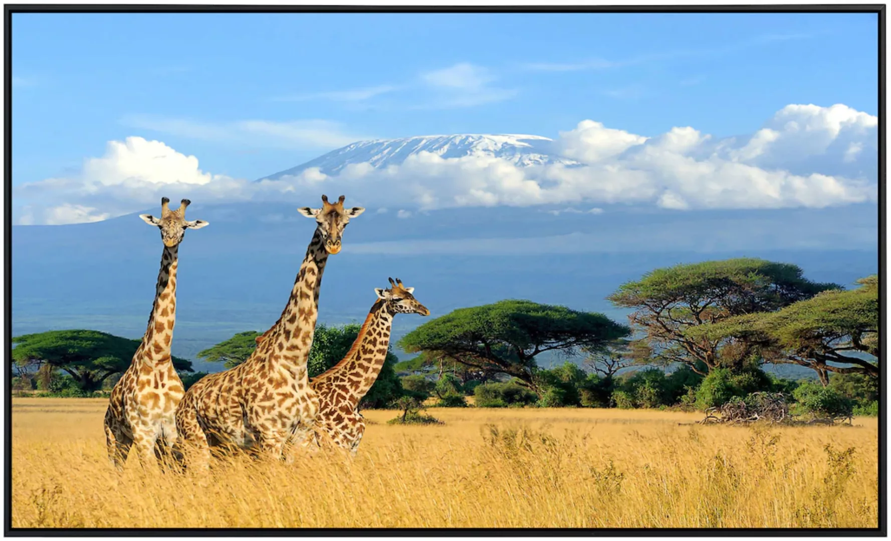 Papermoon Infrarotheizung »Giraffen am Kilimandscharo« günstig online kaufen