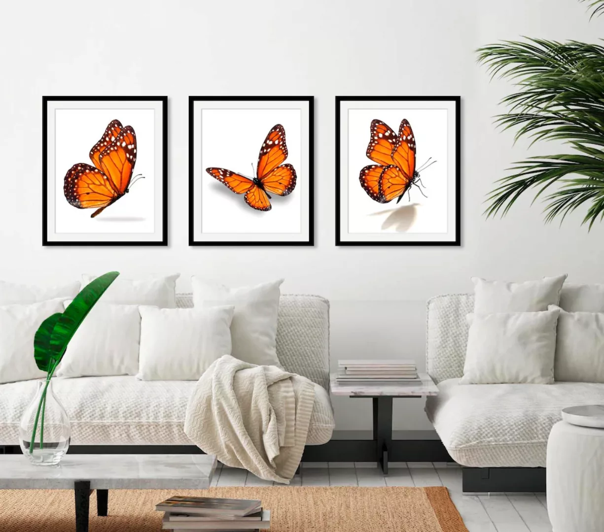 queence Bild "Evelina", Schmetterlinge, (1 St.) günstig online kaufen